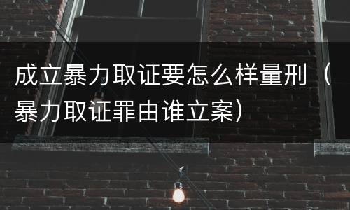 成立暴力取证要怎么样量刑（暴力取证罪由谁立案）