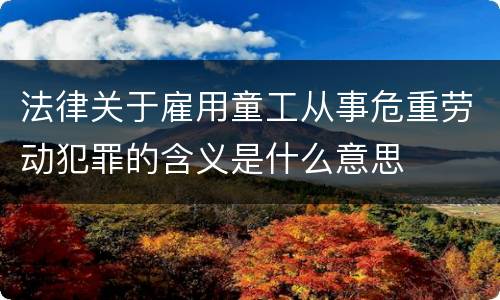 法律关于雇用童工从事危重劳动犯罪的含义是什么意思