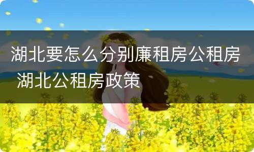 湖北要怎么分别廉租房公租房 湖北公租房政策