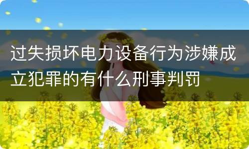 过失损坏电力设备行为涉嫌成立犯罪的有什么刑事判罚