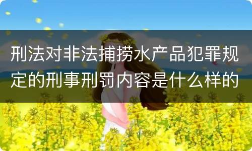 刑法对非法捕捞水产品犯罪规定的刑事刑罚内容是什么样的
