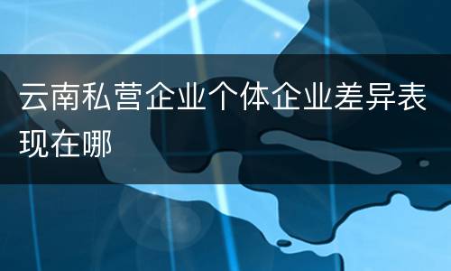 云南私营企业个体企业差异表现在哪