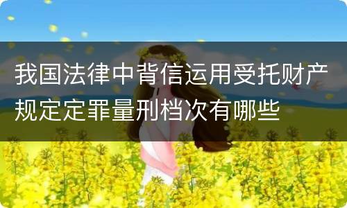 我国法律中背信运用受托财产规定定罪量刑档次有哪些
