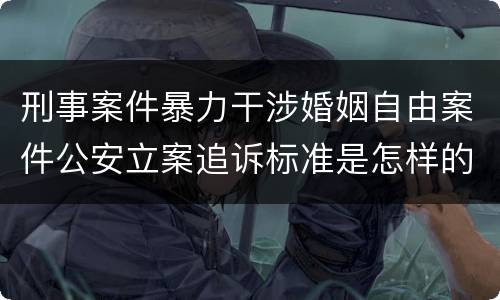 刑事案件暴力干涉婚姻自由案件公安立案追诉标准是怎样的