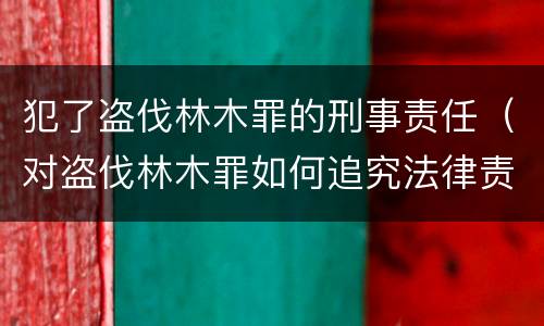 犯了盗伐林木罪的刑事责任（对盗伐林木罪如何追究法律责任）