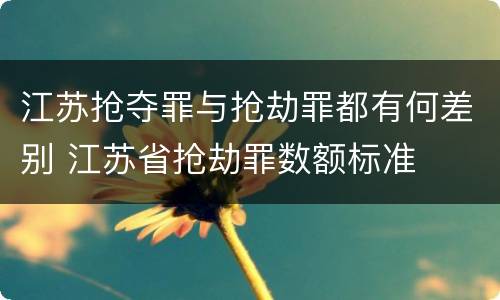 江苏抢夺罪与抢劫罪都有何差别 江苏省抢劫罪数额标准