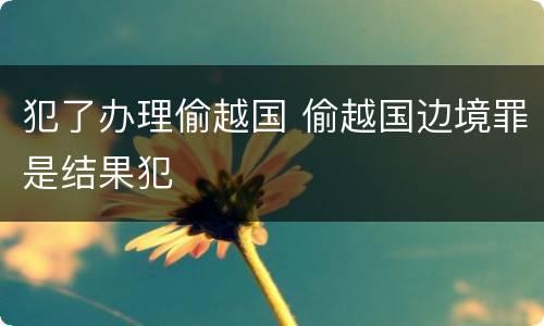 犯了办理偷越国 偷越国边境罪是结果犯