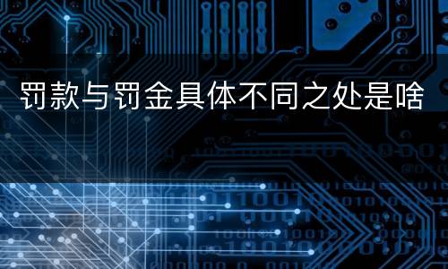 罚款与罚金具体不同之处是啥