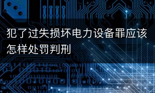 犯了过失损坏电力设备罪应该怎样处罚判刑