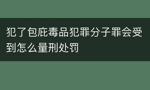 犯了包庇毒品犯罪分子罪会受到怎么量刑处罚