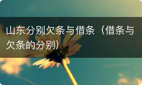 山东分别欠条与借条（借条与欠条的分别）