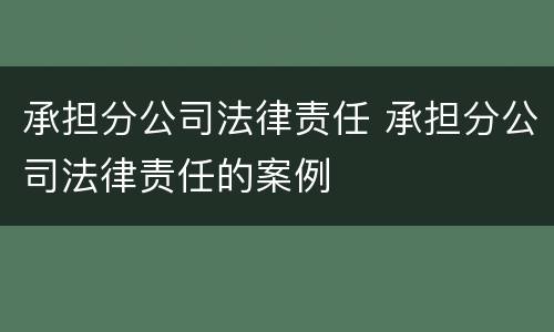 承担分公司法律责任 承担分公司法律责任的案例