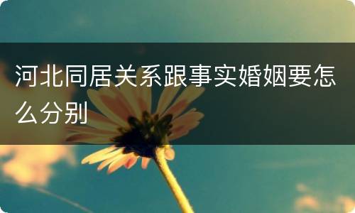 河北同居关系跟事实婚姻要怎么分别