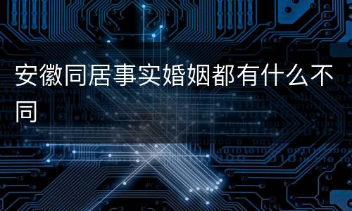 安徽同居事实婚姻都有什么不同