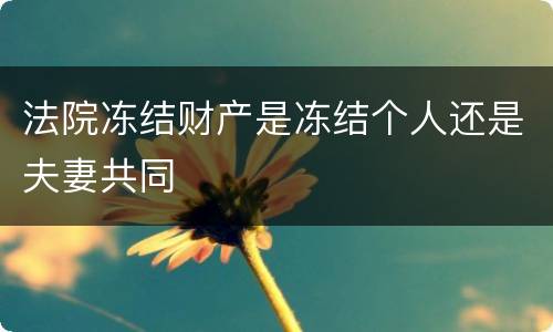 法院冻结财产是冻结个人还是夫妻共同