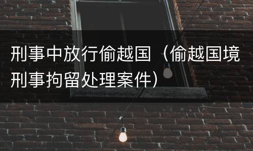 刑事中放行偷越国（偷越国境刑事拘留处理案件）