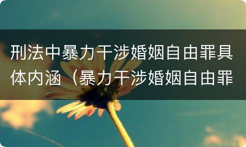 刑法中暴力干涉婚姻自由罪具体内涵（暴力干涉婚姻自由罪的构成要件）