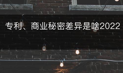 专利、商业秘密差异是啥2022