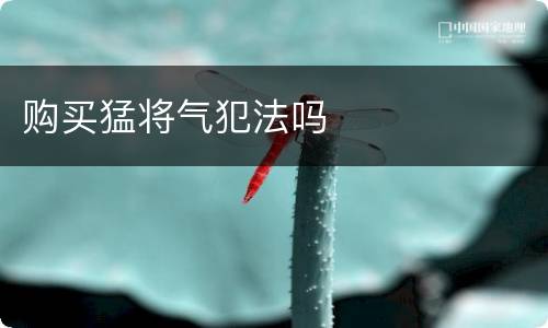 购买猛将气犯法吗