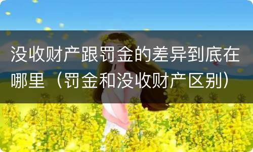 没收财产跟罚金的差异到底在哪里（罚金和没收财产区别）