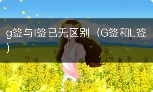 g签与l签已无区别（G签和L签）
