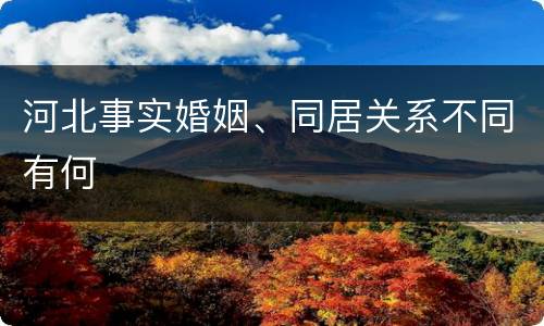 河北事实婚姻、同居关系不同有何