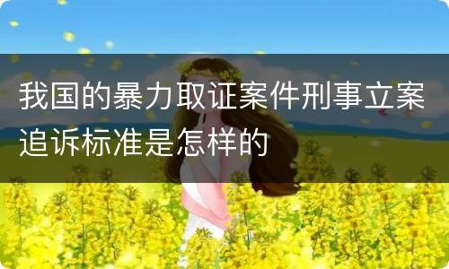 我国的暴力取证案件刑事立案追诉标准是怎样的