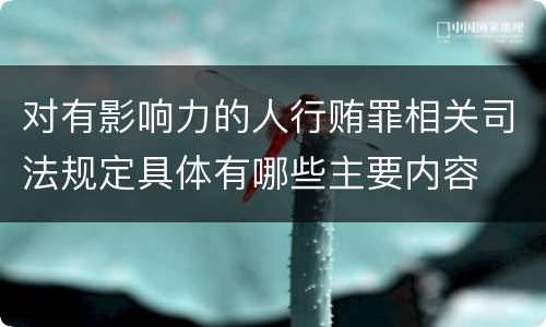 对有影响力的人行贿罪相关司法规定具体有哪些主要内容