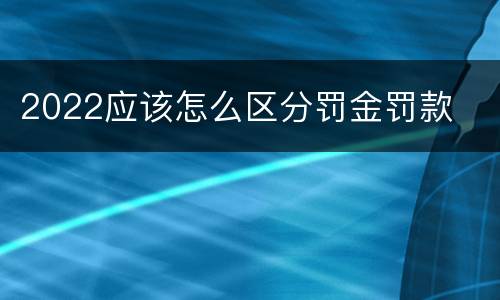 2022应该怎么区分罚金罚款
