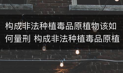 构成非法种植毒品原植物该如何量刑 构成非法种植毒品原植物该如何量刑呢