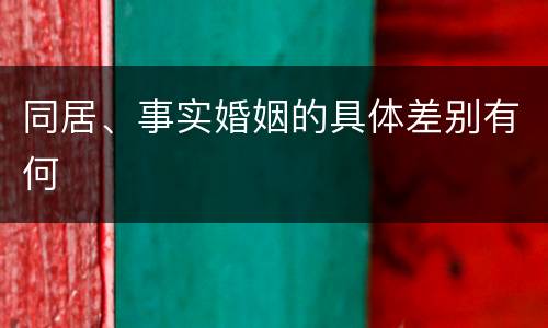 同居、事实婚姻的具体差别有何