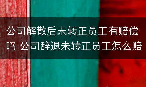 公司解散后未转正员工有赔偿吗 公司辞退未转正员工怎么赔偿
