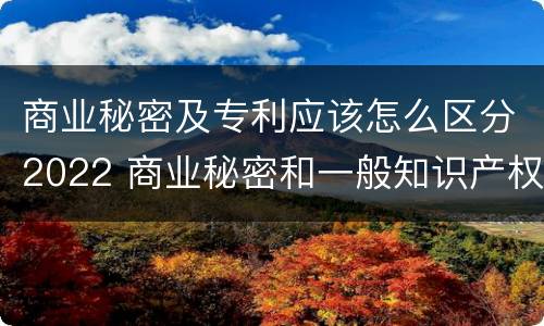商业秘密及专利应该怎么区分2022 商业秘密和一般知识产权的区别
