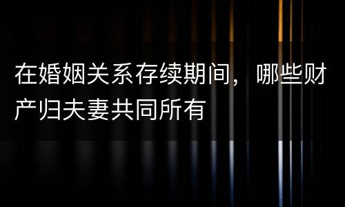 在婚姻关系存续期间，哪些财产归夫妻共同所有