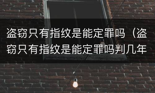 盗窃只有指纹是能定罪吗（盗窃只有指纹是能定罪吗判几年）