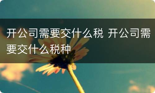 开公司需要交什么税 开公司需要交什么税种