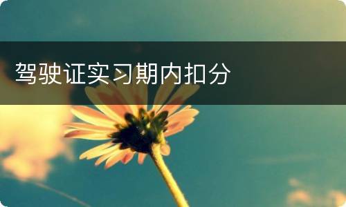 驾驶证实习期内扣分