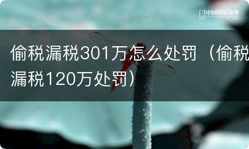 偷税漏税301万怎么处罚（偷税漏税120万处罚）
