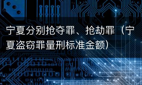 宁夏分别抢夺罪、抢劫罪（宁夏盗窃罪量刑标准金额）