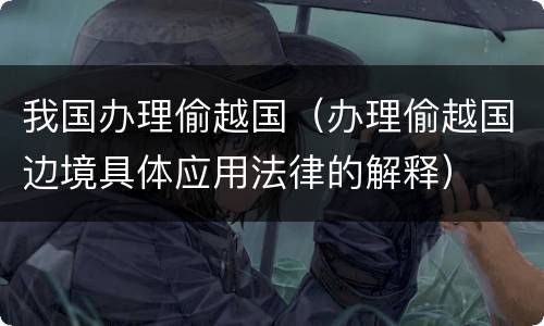 我国办理偷越国（办理偷越国边境具体应用法律的解释）