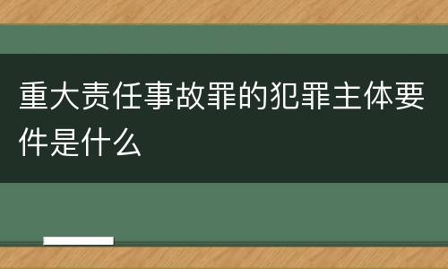 重大责任事故罪的犯罪主体要件是什么