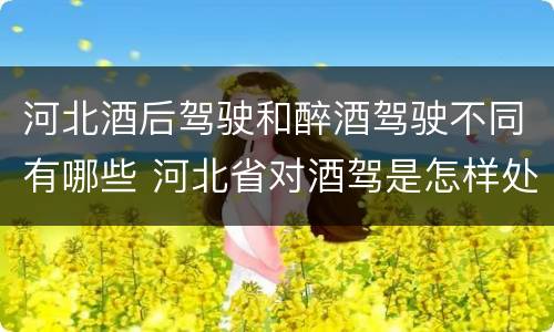 河北酒后驾驶和醉酒驾驶不同有哪些 河北省对酒驾是怎样处理的