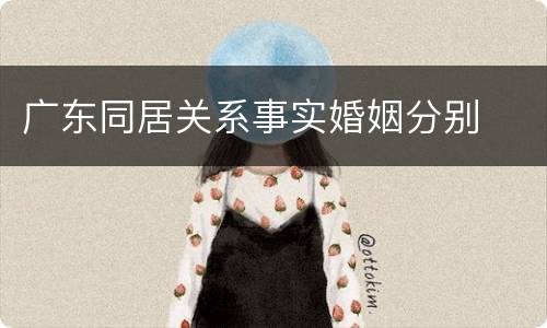 广东同居关系事实婚姻分别