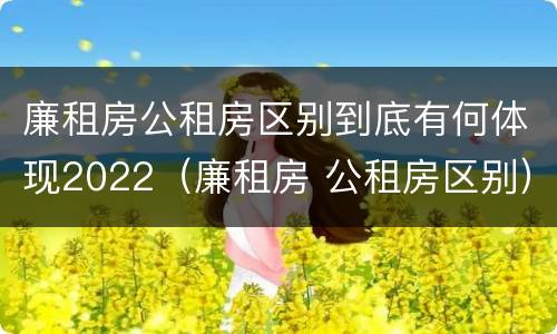 廉租房公租房区别到底有何体现2022（廉租房 公租房区别）