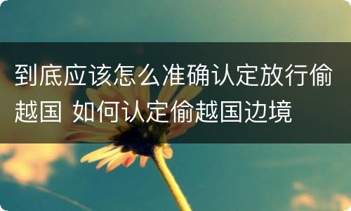 到底应该怎么准确认定放行偷越国 如何认定偷越国边境