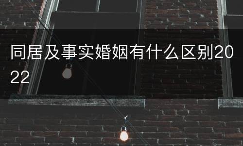 同居及事实婚姻有什么区别2022