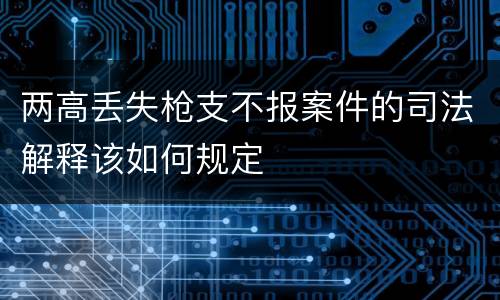 两高丢失枪支不报案件的司法解释该如何规定