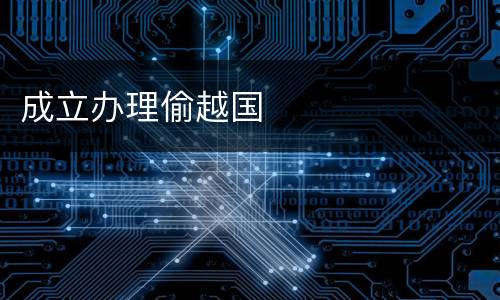 成立办理偷越国