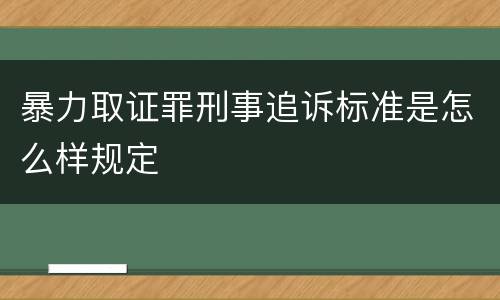 暴力取证罪刑事追诉标准是怎么样规定