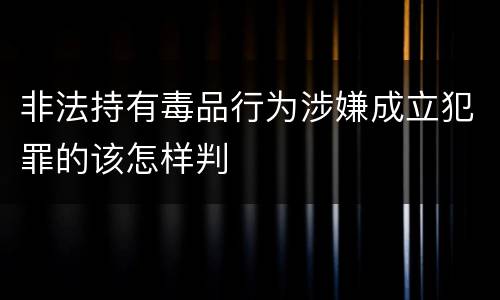 非法持有毒品行为涉嫌成立犯罪的该怎样判